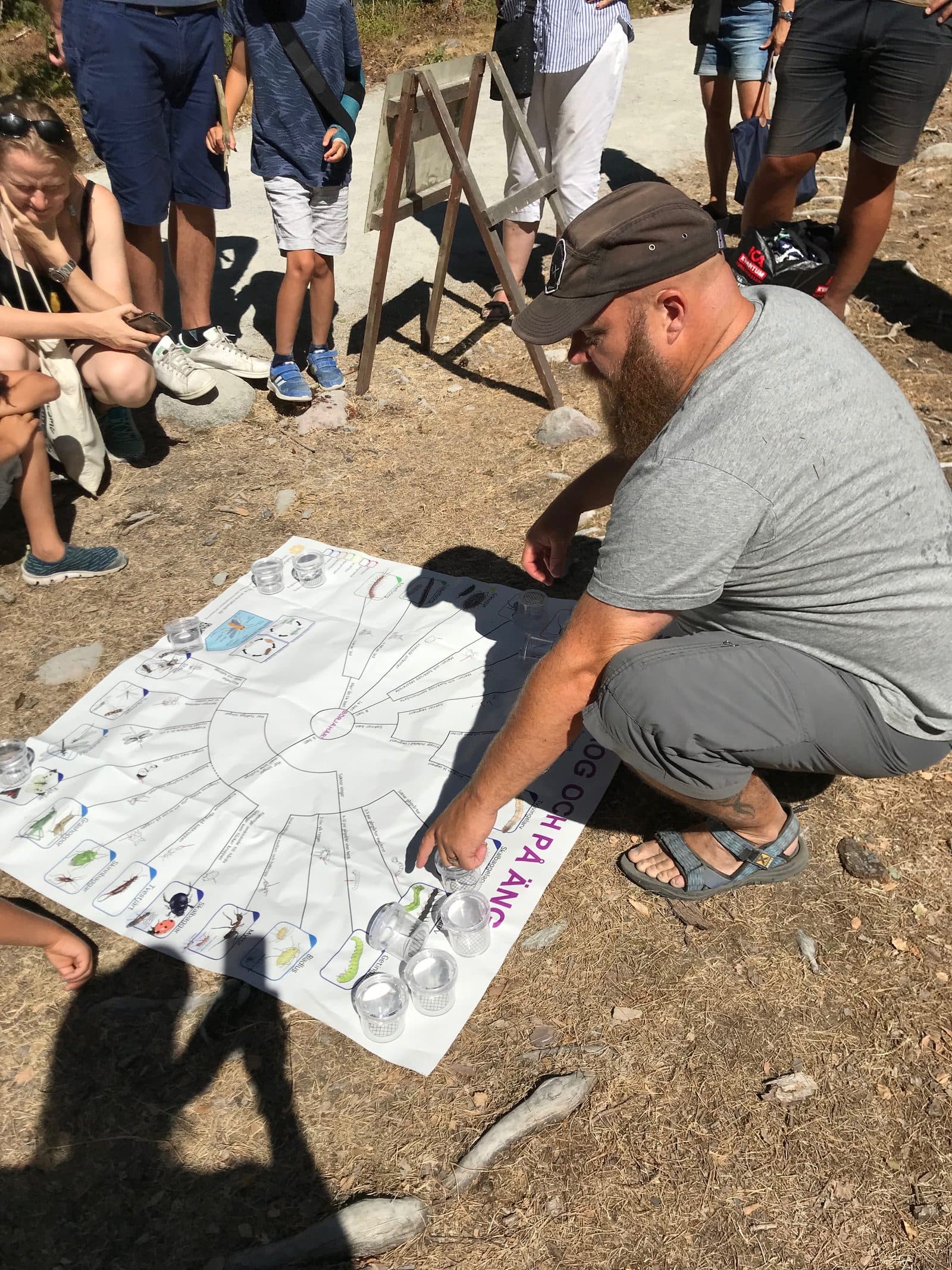 En guide visar en artnyckel över insekter för en grupp