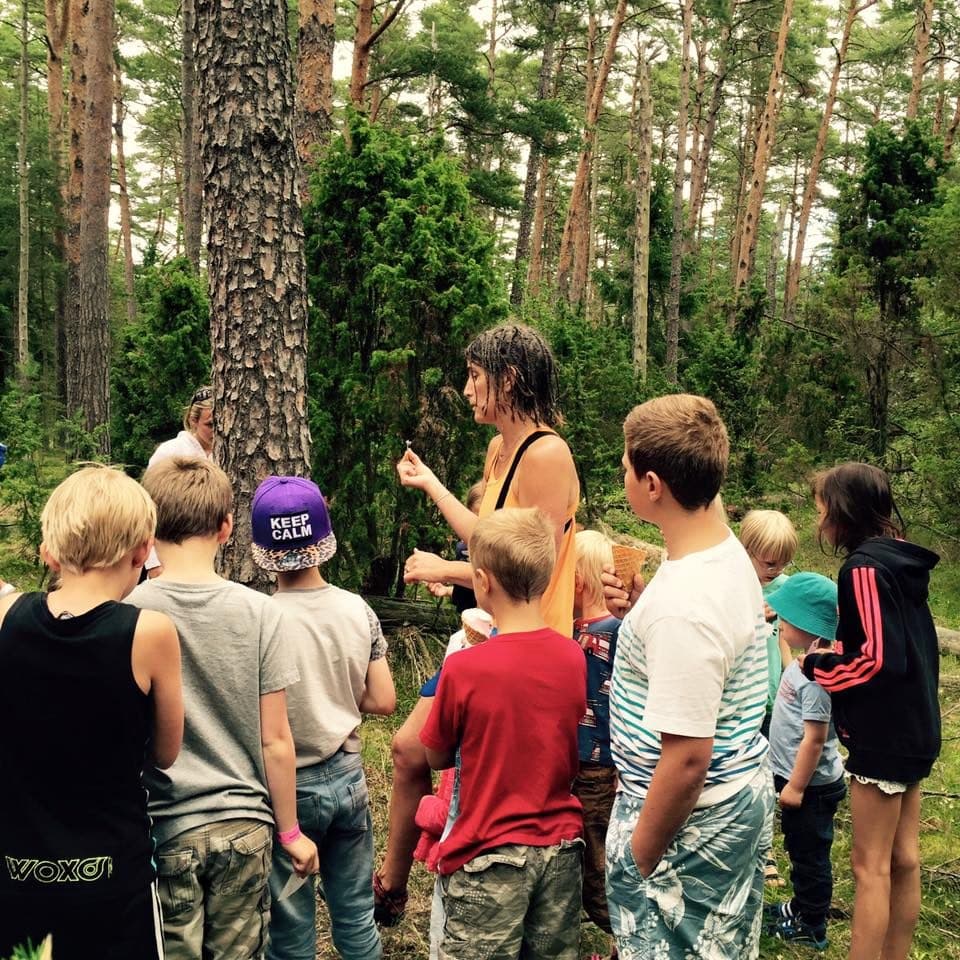 En guide visar något för en grupp barn i tallskog