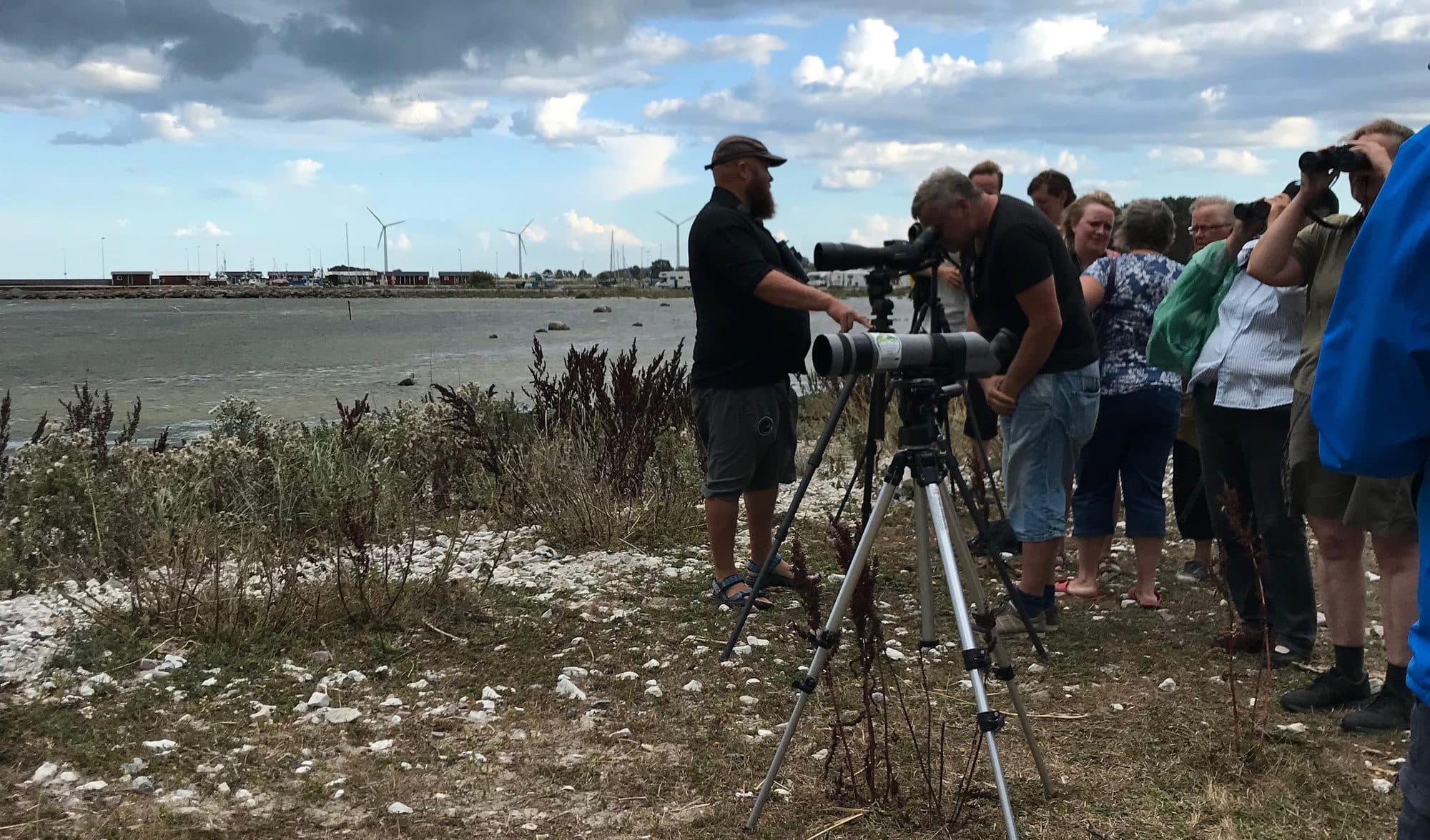 En grupp fågelskådare med tubkikare vid en hamn