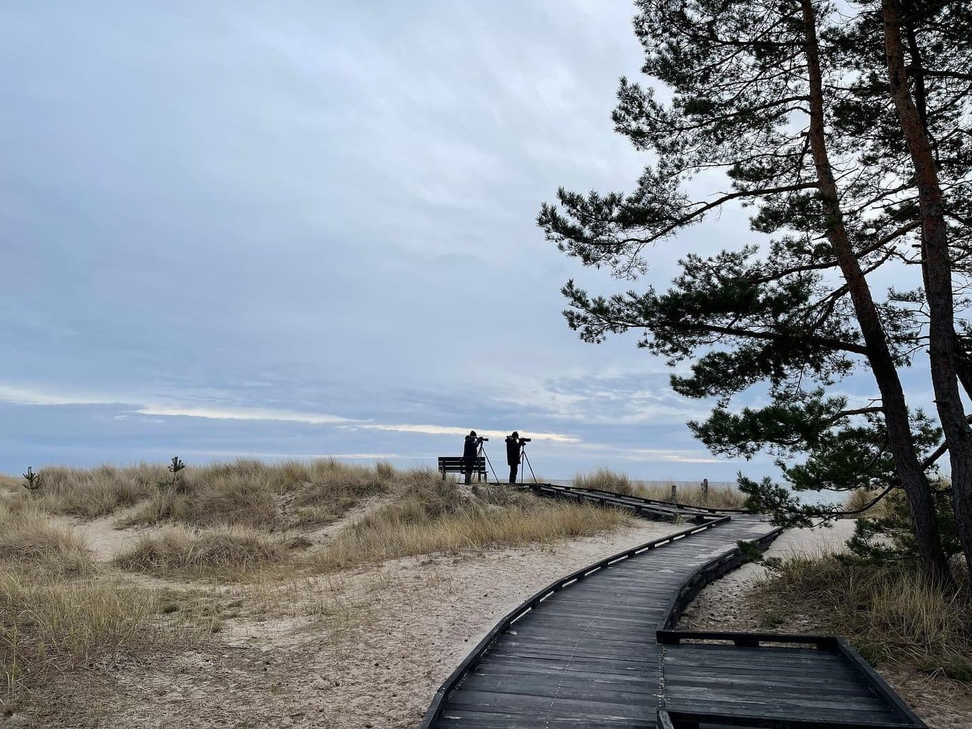Spång genom sanddyner ut mot havet, två personer med tubkikare